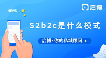 S2b2c是什么模式？為什么S是大寫b和c卻是小寫？